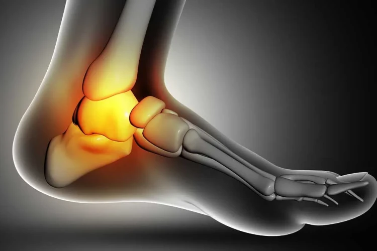 Kaynamayan Kırıklarda Hangi Kemik Greftleri Kullanılır?