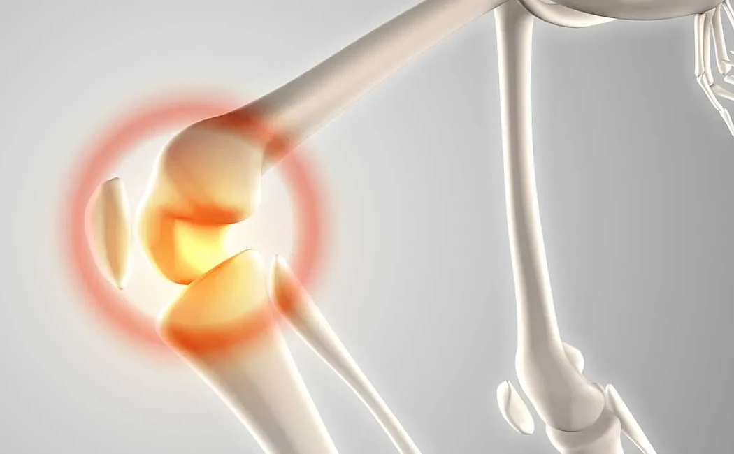 Kemik ve Yumuşak Doku Enfeksiyonlarının Tedavisinde Yeni Gelişmeler