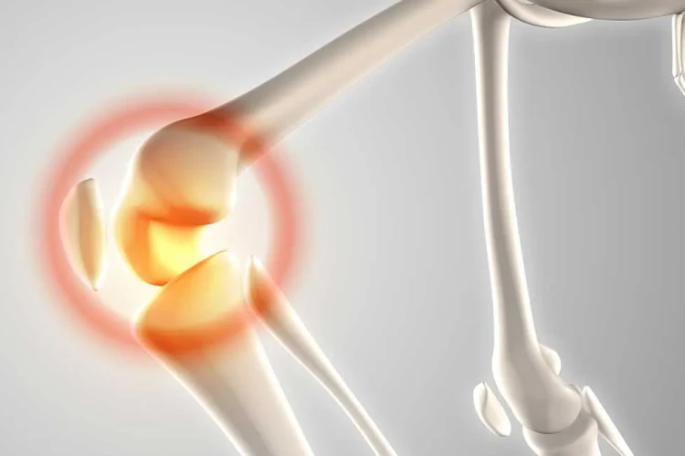 Kemik ve Yumuşak Doku Enfeksiyonlarının Tedavisinde Yeni Gelişmeler