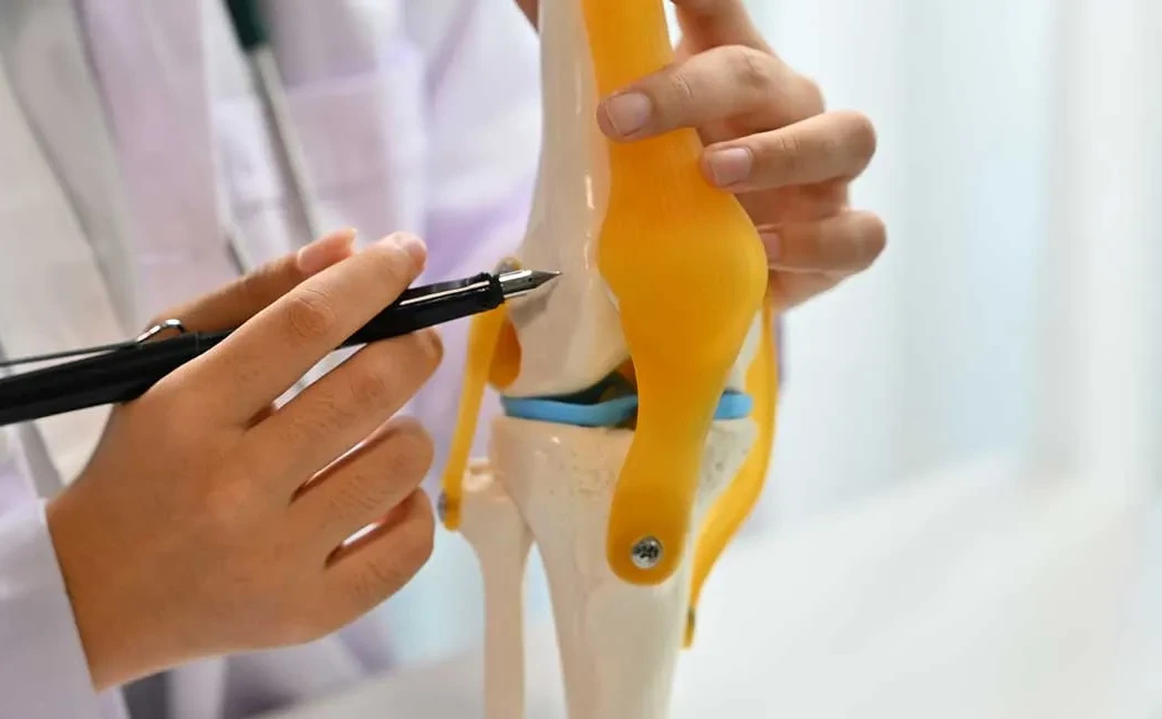 Menisküs Onarımı mı, Menisküs Nakli mi? Hangi Durumda Hangisi Tercih Edilir?