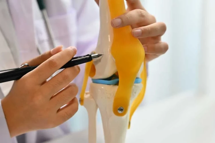 Menisküs Onarımı mı, Menisküs Nakli mi? Hangi Durumda Hangisi Tercih Edilir?