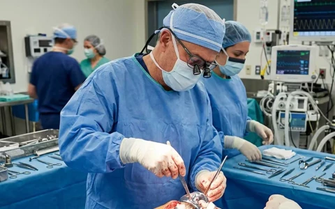 Complex Joint Reconstruction: Prosthesis Revision Solutions